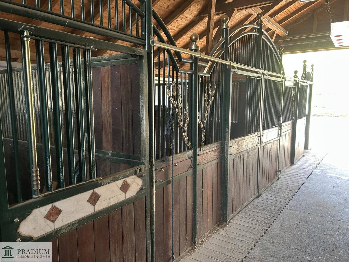 Exklusiver Pferdehof mit 2 Wohneinheiten, Reithalle & großem Grund in Hochneukirchen