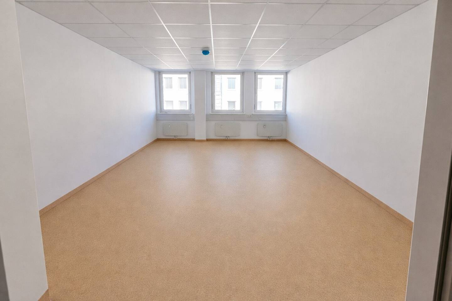 PROMENADE: Moderne 600 m² Bürofläche