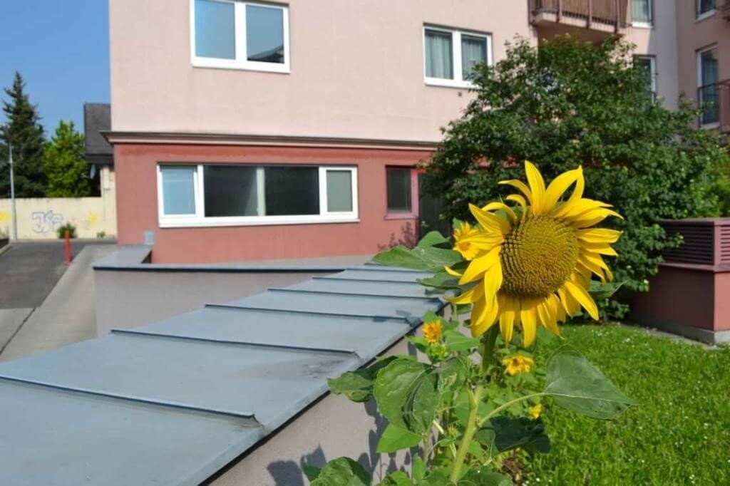 Kleinbüro mit Schaufenster!