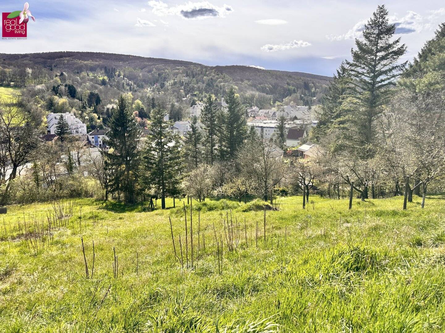 Traumhaftes Hanggrundstück in Kierling, Klosterneuburg – sonnig & ruhig gelegen  – Ihr Traum vom Eigenheim beginnt hier!