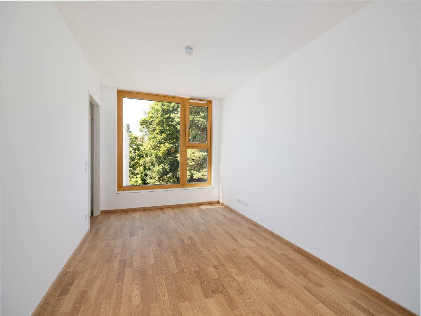 Immobilienbild 3