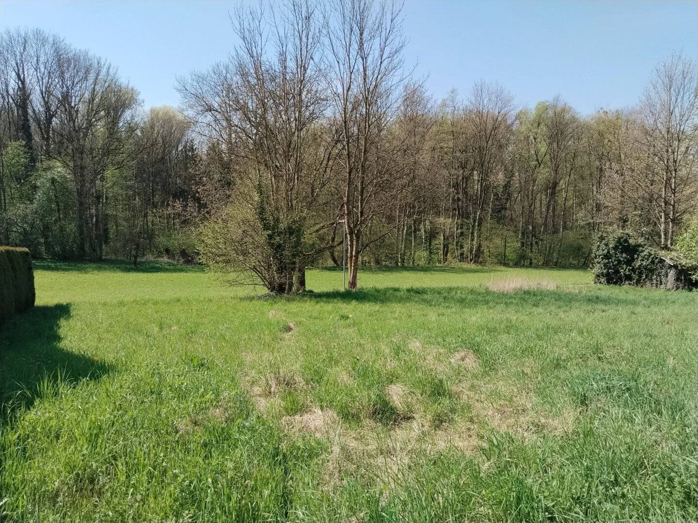 R E S E R V I E R T! 713 m² Baugrundstück in Wilhering mit Südwest-Ausrichtung - ohne Bauverpflichtung