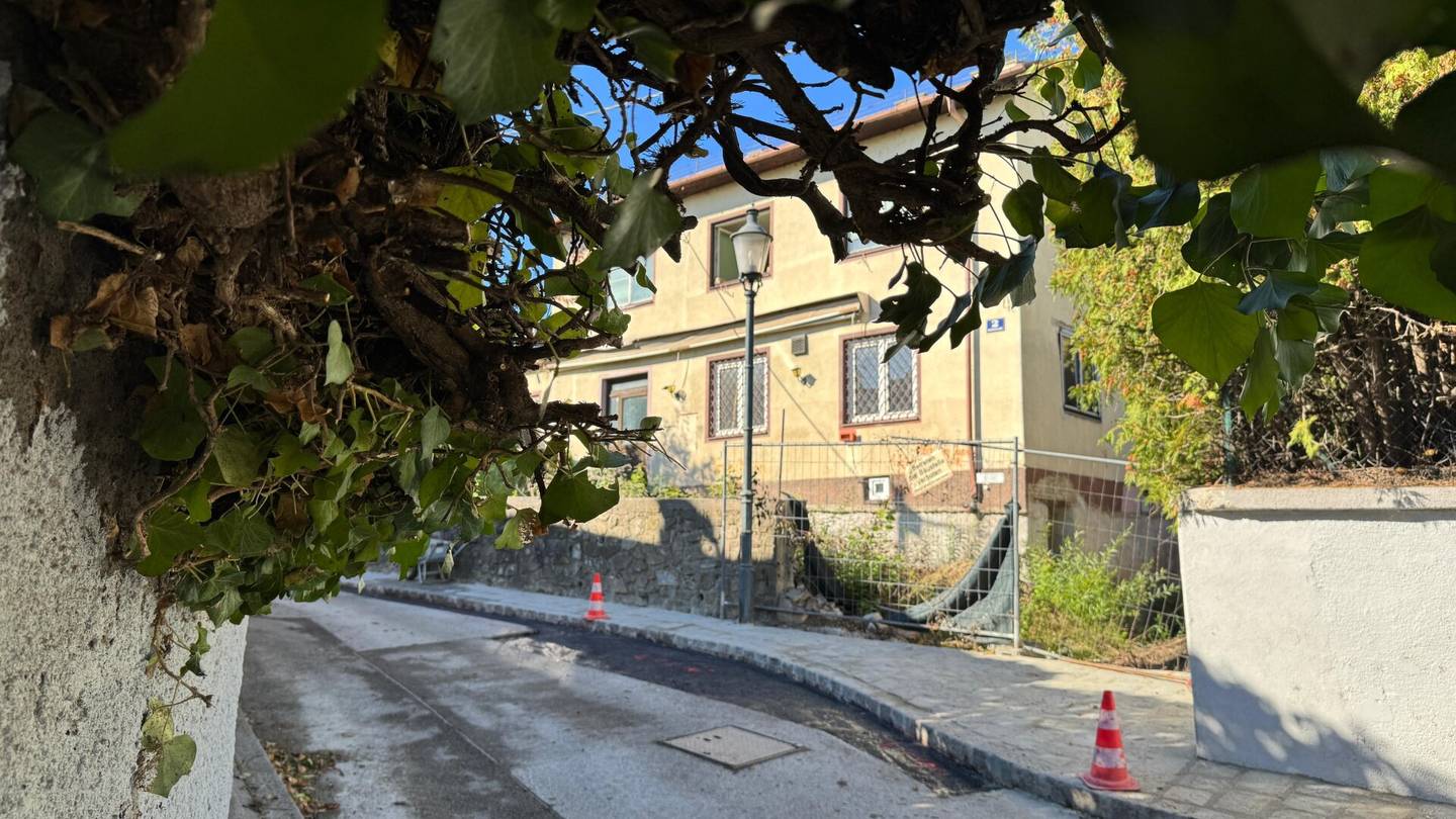 Wohnen zwischen Weinberge und Donau: Einfamilienhaus mit Neubauchance