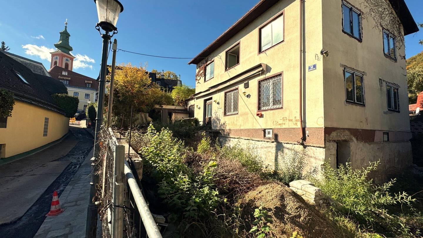 Wohnen zwischen Weinberge und Donau: Einfamilienhaus mit Neubauchance