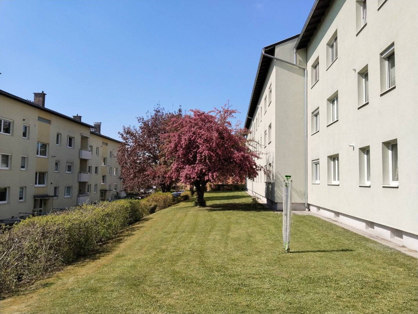 R E S E R V I E R T! Optimal geschnittene 2,5-Zimmer-Wohnung in ruhiger, gut angebundener Lage in St. Florian