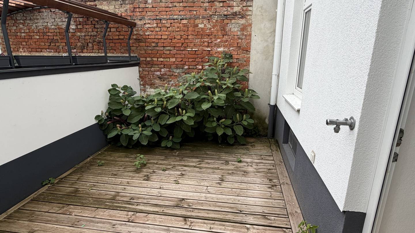 **Sommeraktion: -50% Maklerprovision** | Erstbezug | Gartenwohnung | 3 Zimmer