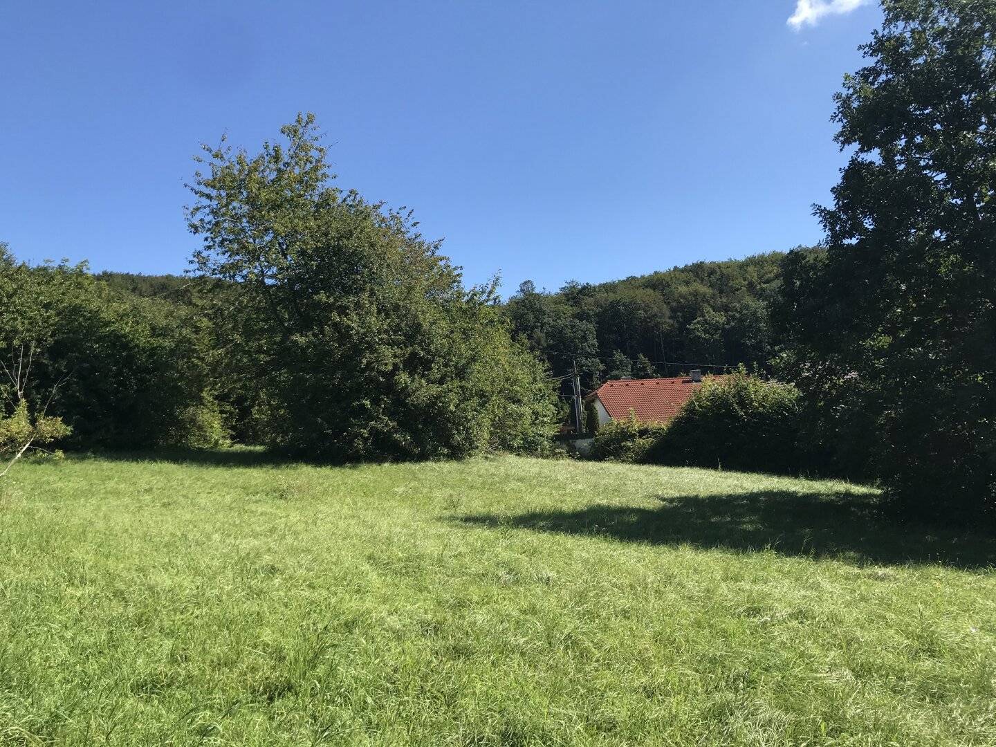 WOHNEN im WIENERWALD – Baugrund für Premium Holz Massivhaus im Chalet Stil