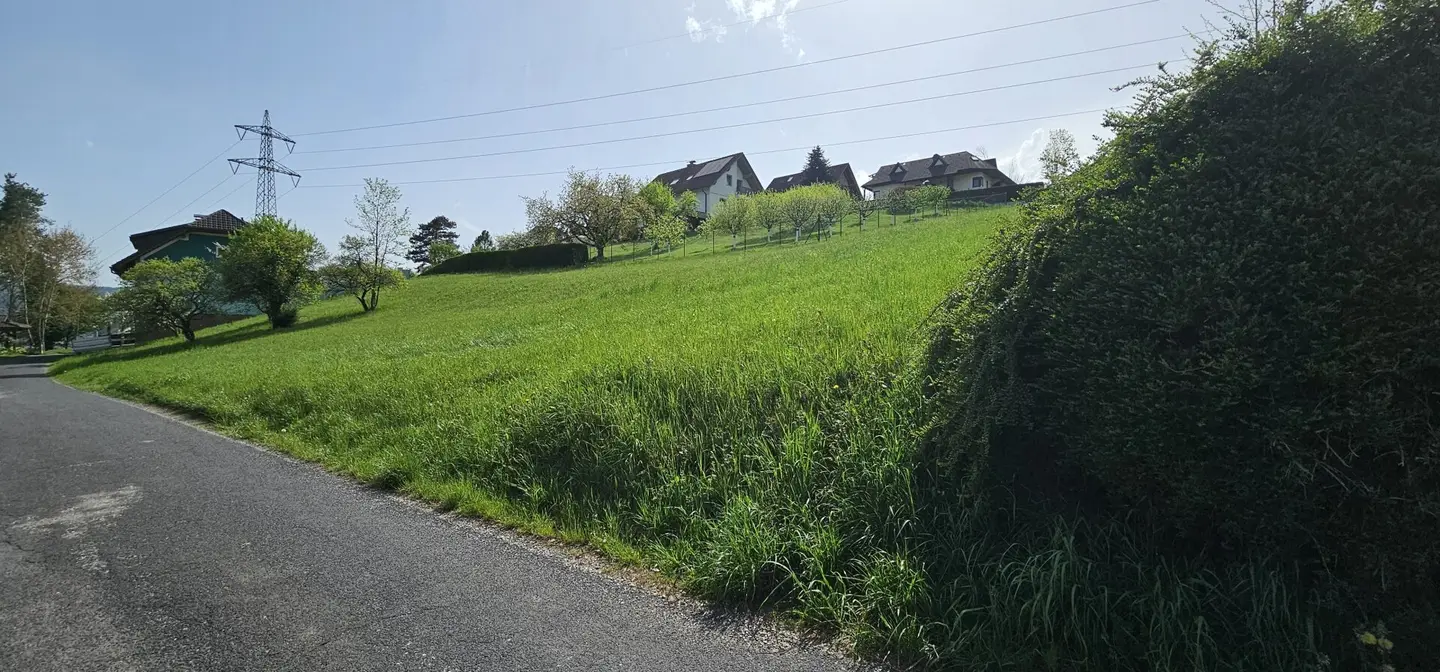 10 Min von Graz - großzügiges, sonniges, Grundstück in leichter Hanglage