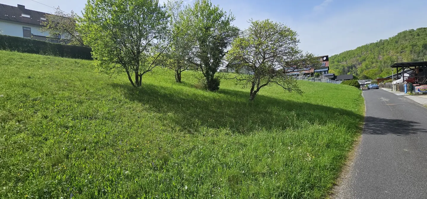 10 Min von Graz - großzügiges, sonniges, Grundstück in leichter Hanglage (1617 m², 820 m² und 797 m²)