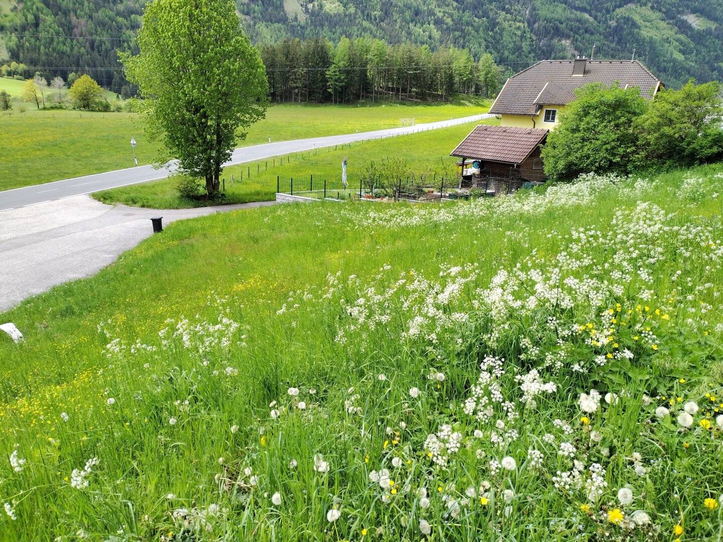 Baugrund mit guter Anbindung und Bergpanorama inmitten des Maltatales