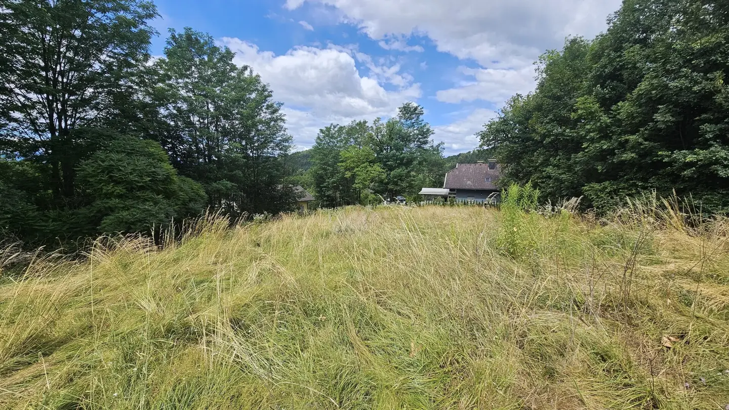 1.380 m² Sonnengrund in Kreuth/Pischeldorf/Poggersdorf!