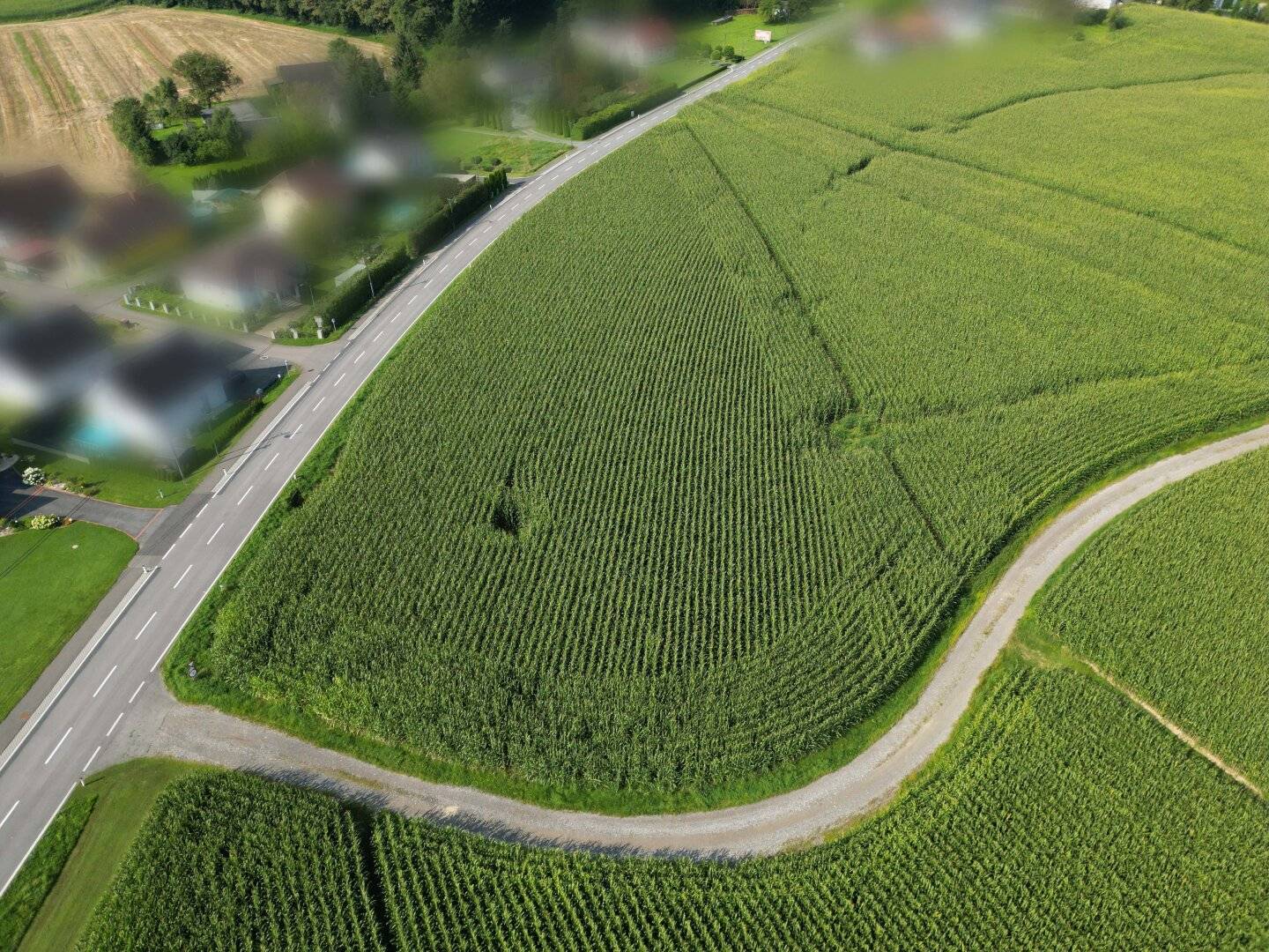 Großes Betriebsbaugrundstück 1237m² in Breitenfeld am Tannenriegel – Ihr Standort!