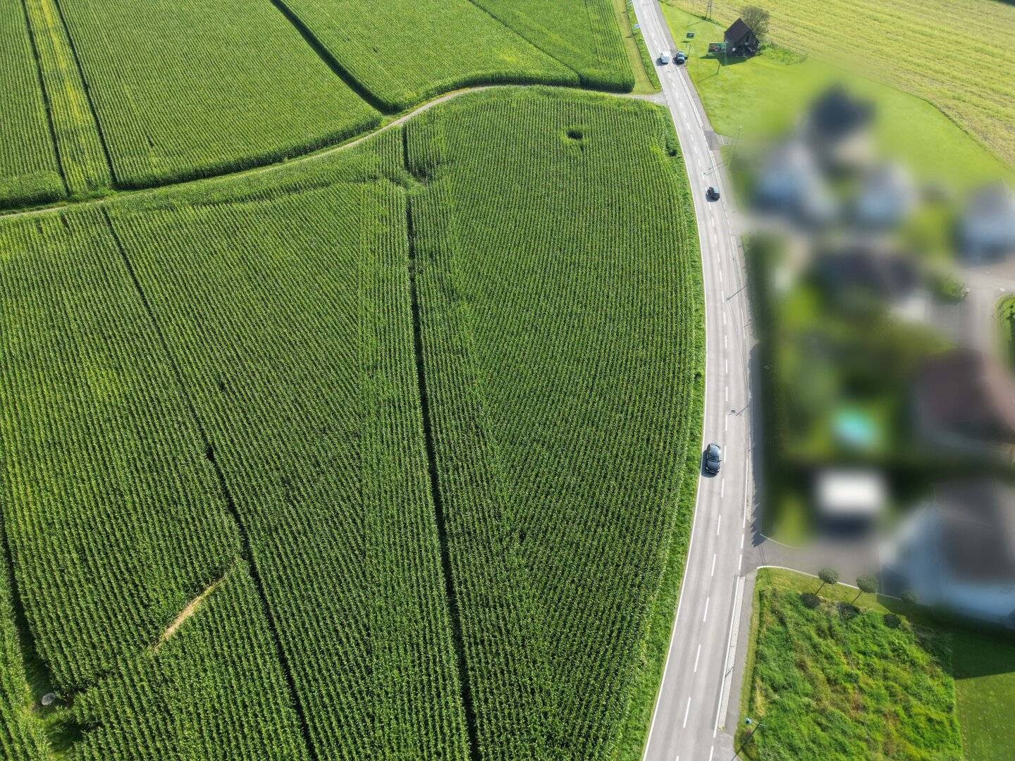 Großes Betriebsbaugrundstück 1237m² in Breitenfeld am Tannenriegel – Ihr Standort!