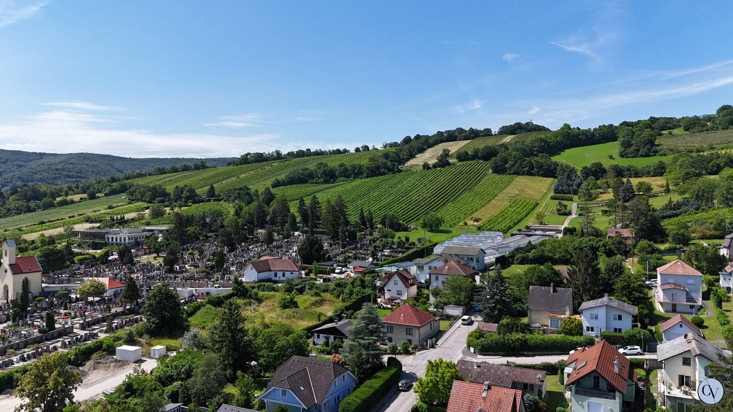 Einfamilienhaus am Fuße des Weinbergs Klosterneuburg - Nähe Chorherrenstift