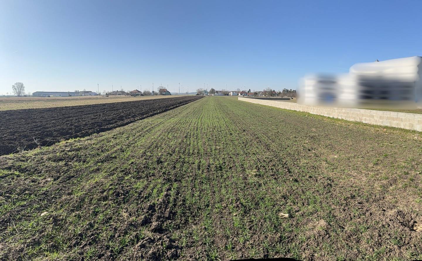 Ruhiges Baugrundstück am Ende einer Sackgasse - 660 m² in Nickelsdorf
