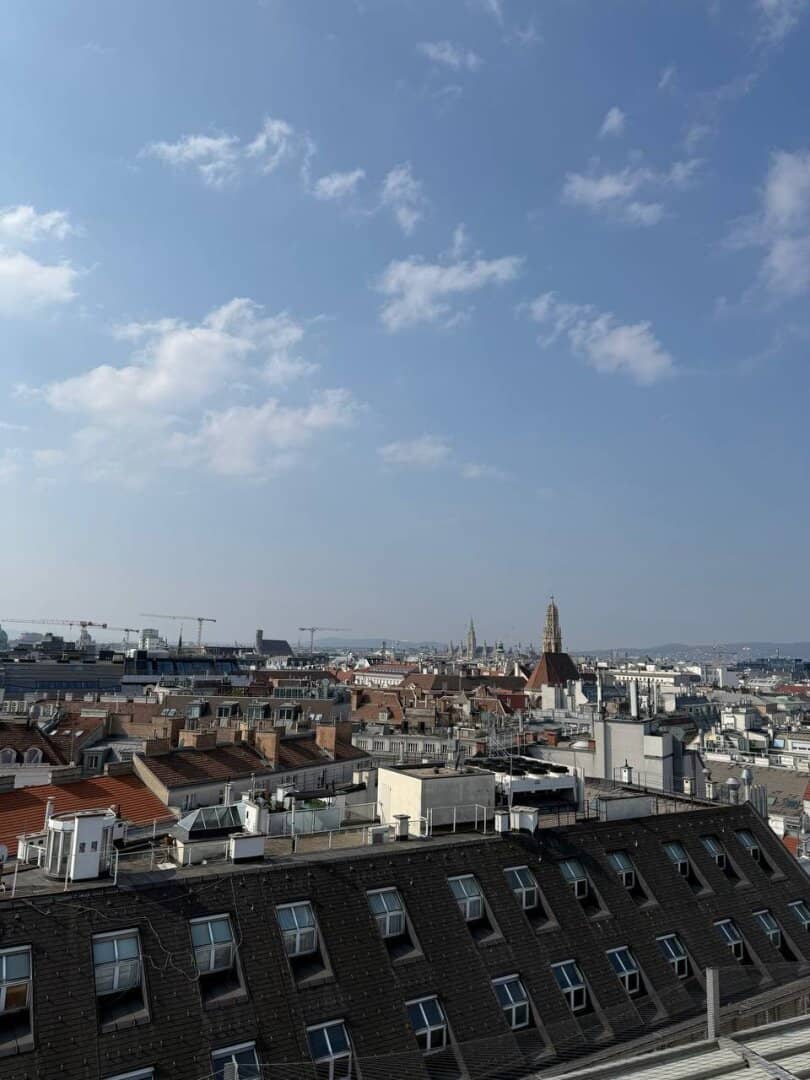 Exklusive 100 m² Wohnung mit 2 Balkonen & Klimaanlage in jedem Zimmer im Herzen des 1. Bezirks