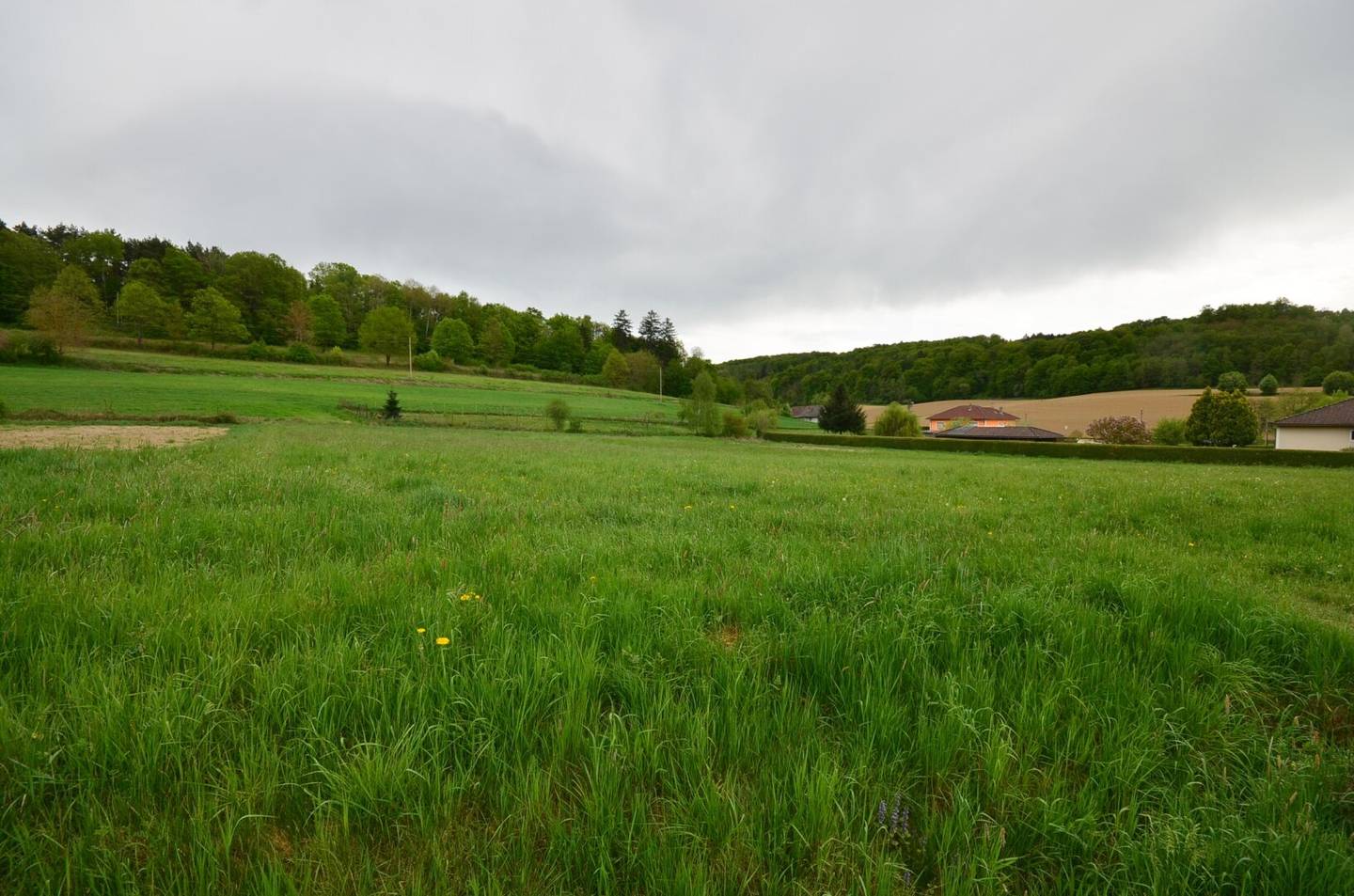 Beinahe 5.900 m² - BAUGRUNDSTÜCK  am Ortsrand in toller Lage