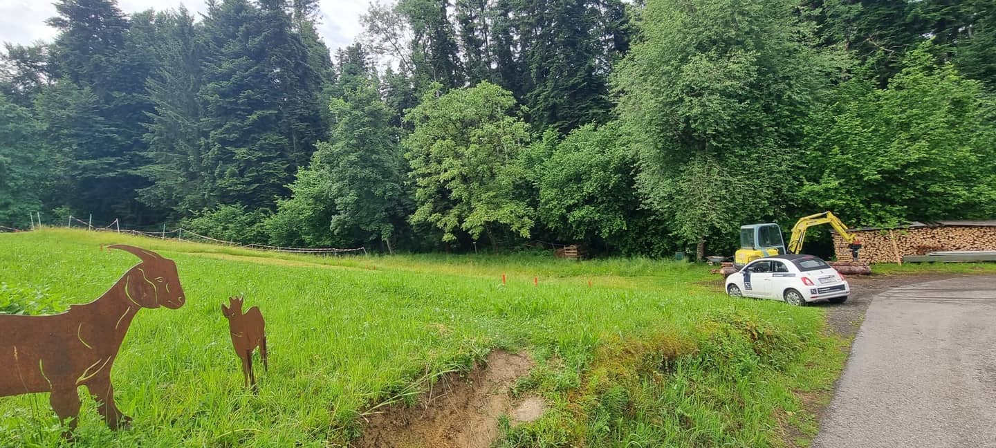 Idyllisches Grundstück in Hohenweiler! Der ideale Platz für dein Traumhaus!