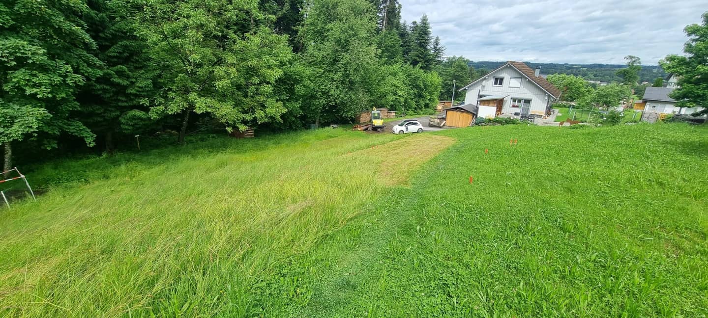 Idyllisches Grundstück in Hohenweiler! Der ideale Platz für dein Traumhaus!