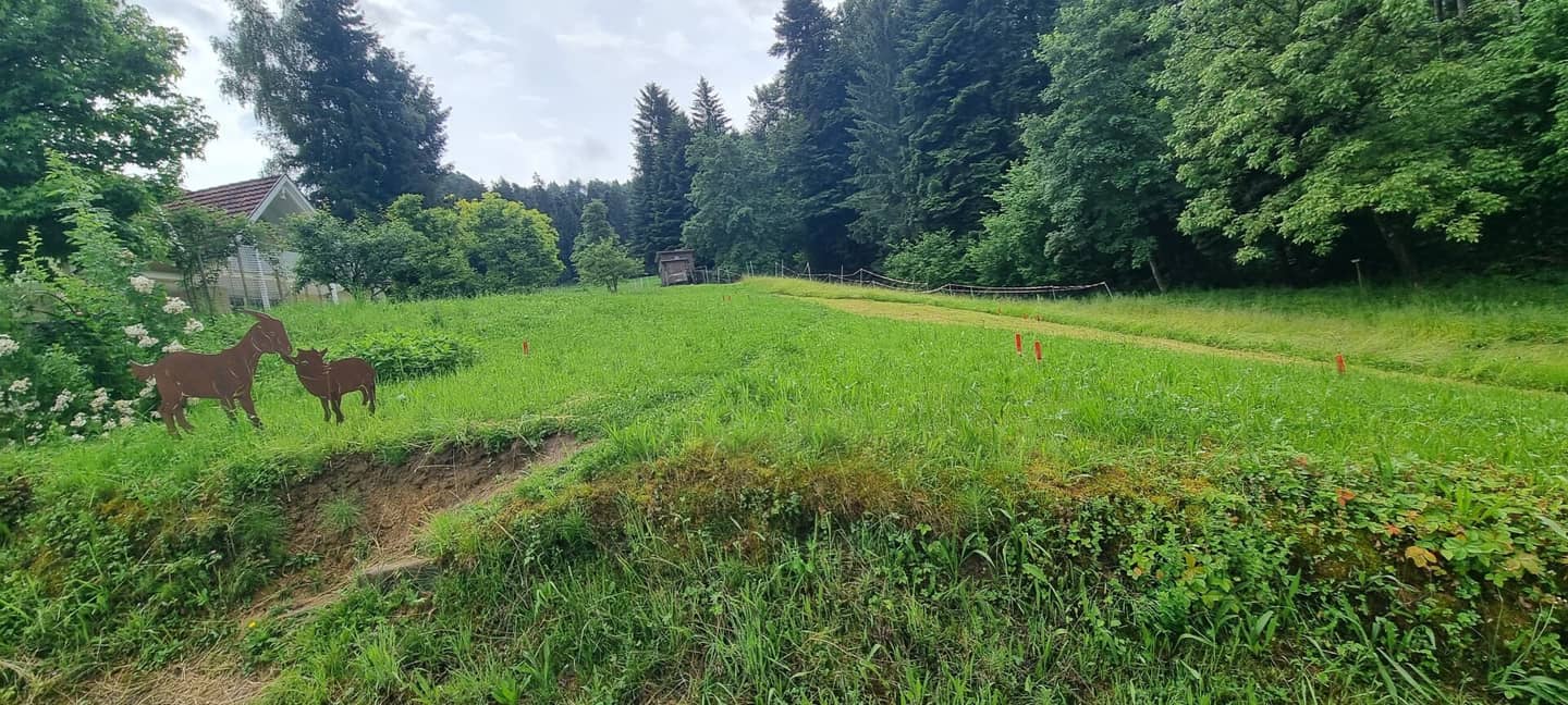 Idyllisches Grundstück in Hohenweiler! Der ideale Platz für dein Traumhaus!