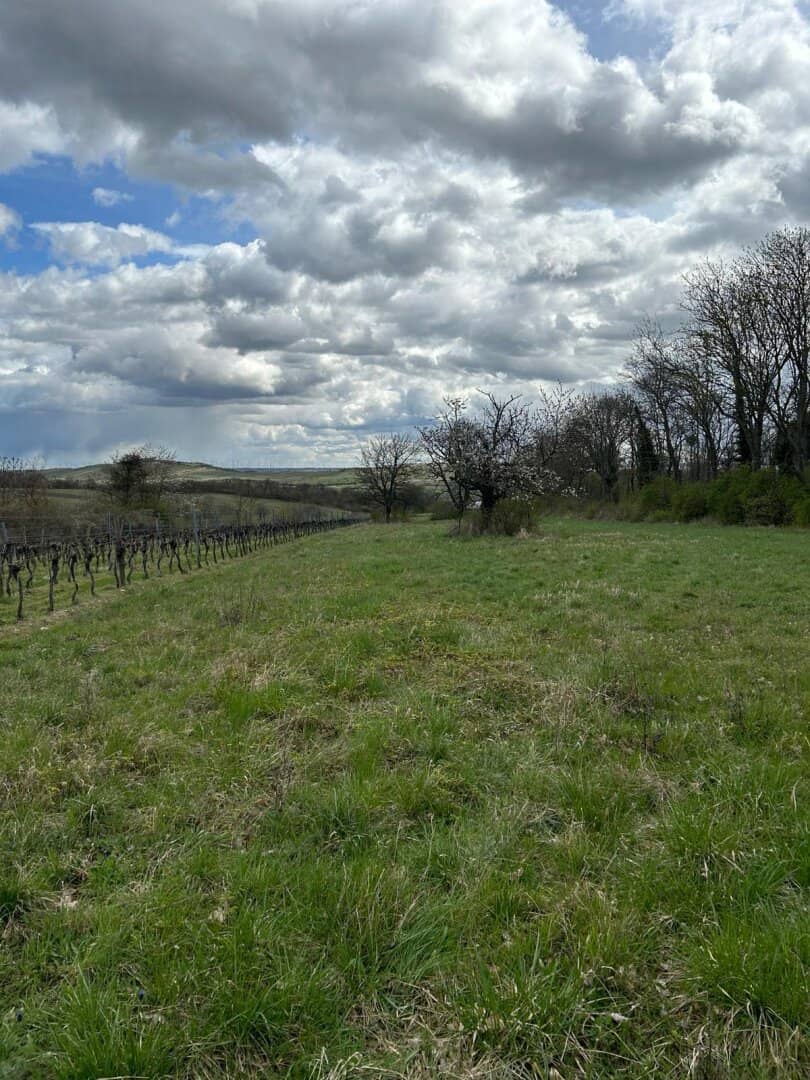 idyllischer landwirtschaftlicher Grund in Winden am See