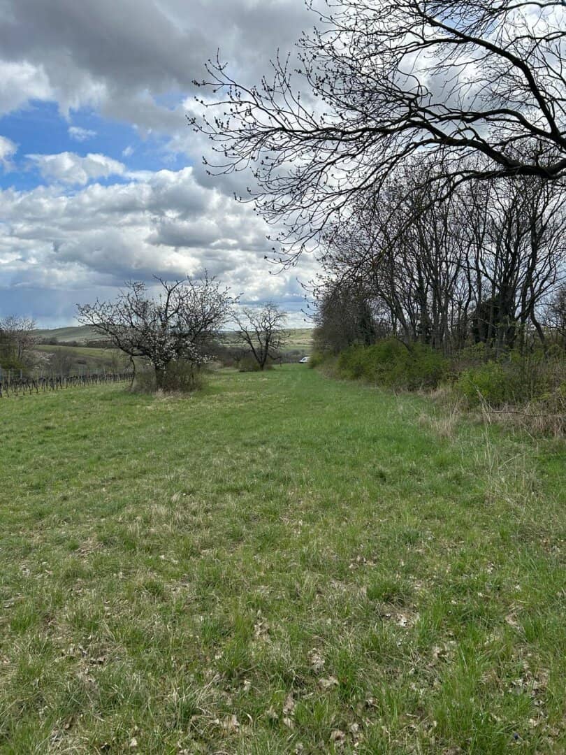 idyllischer landwirtschaftlicher Grund in Winden am See