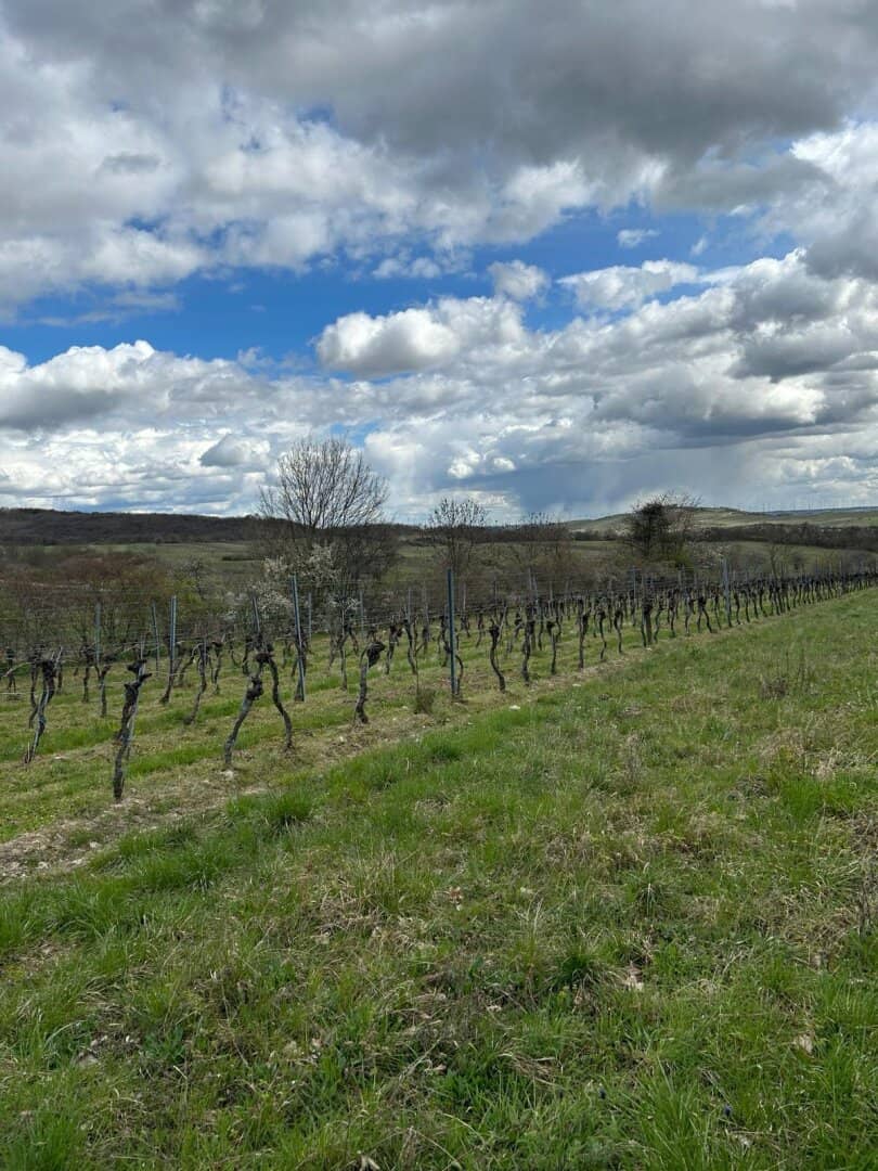 idyllischer landwirtschaftlicher Grund in Winden am See