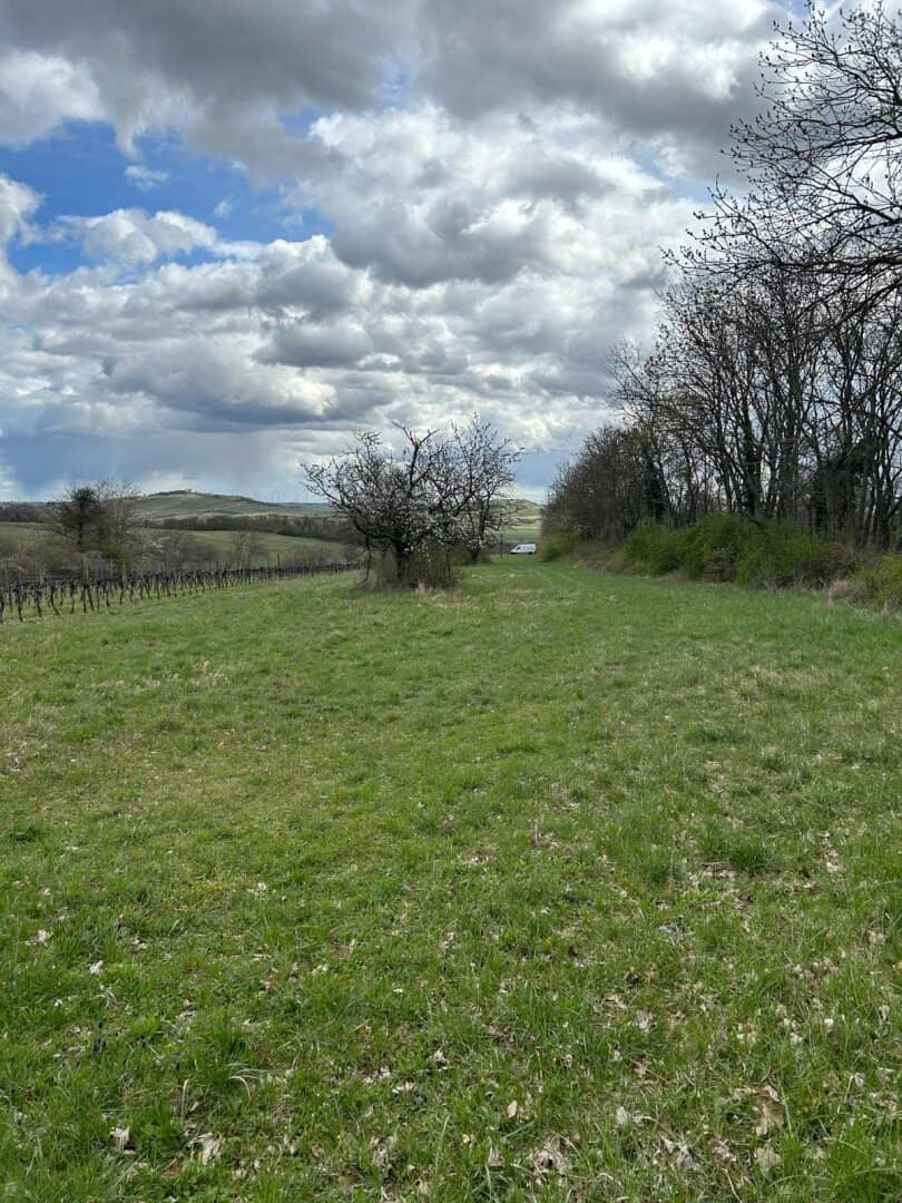 idyllischer landwirtschaftlicher Grund in Winden am See