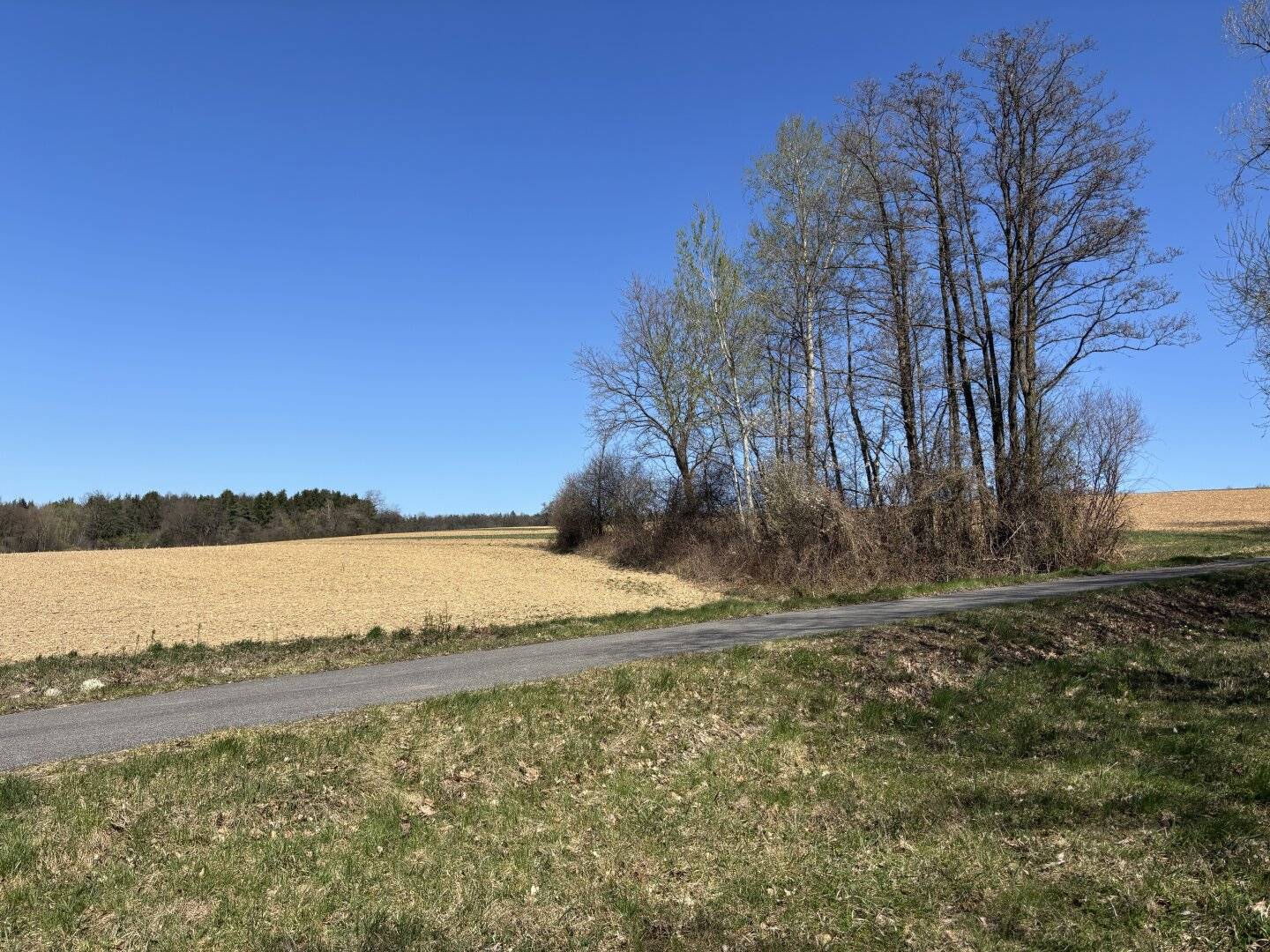 7.800 m² Baugrund in idyllischer Lage, umgeben von Rad-und Wanderwegen im mittleren Burgenland