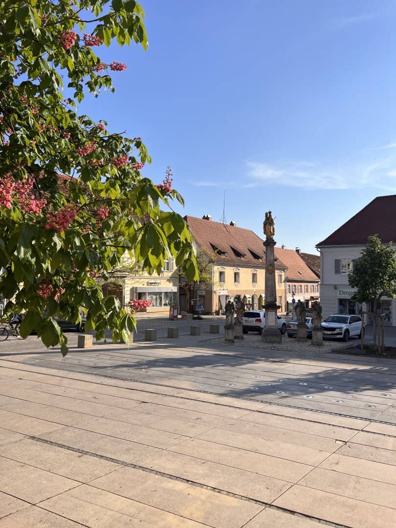 Repräsentatives Gewerbeobjekt in der Gleisdorfer Innenstadt zu vermieten!