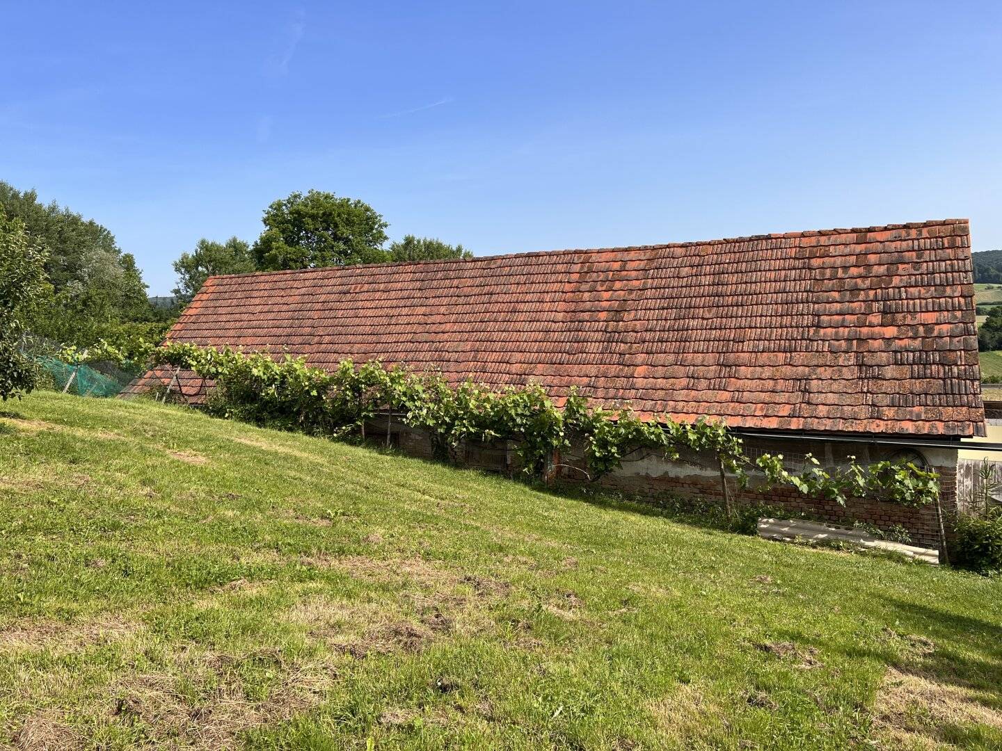 Landwirtschaftliche Fläche mit Obstbaukulturen ca. 1,2 ha zu verkaufen.