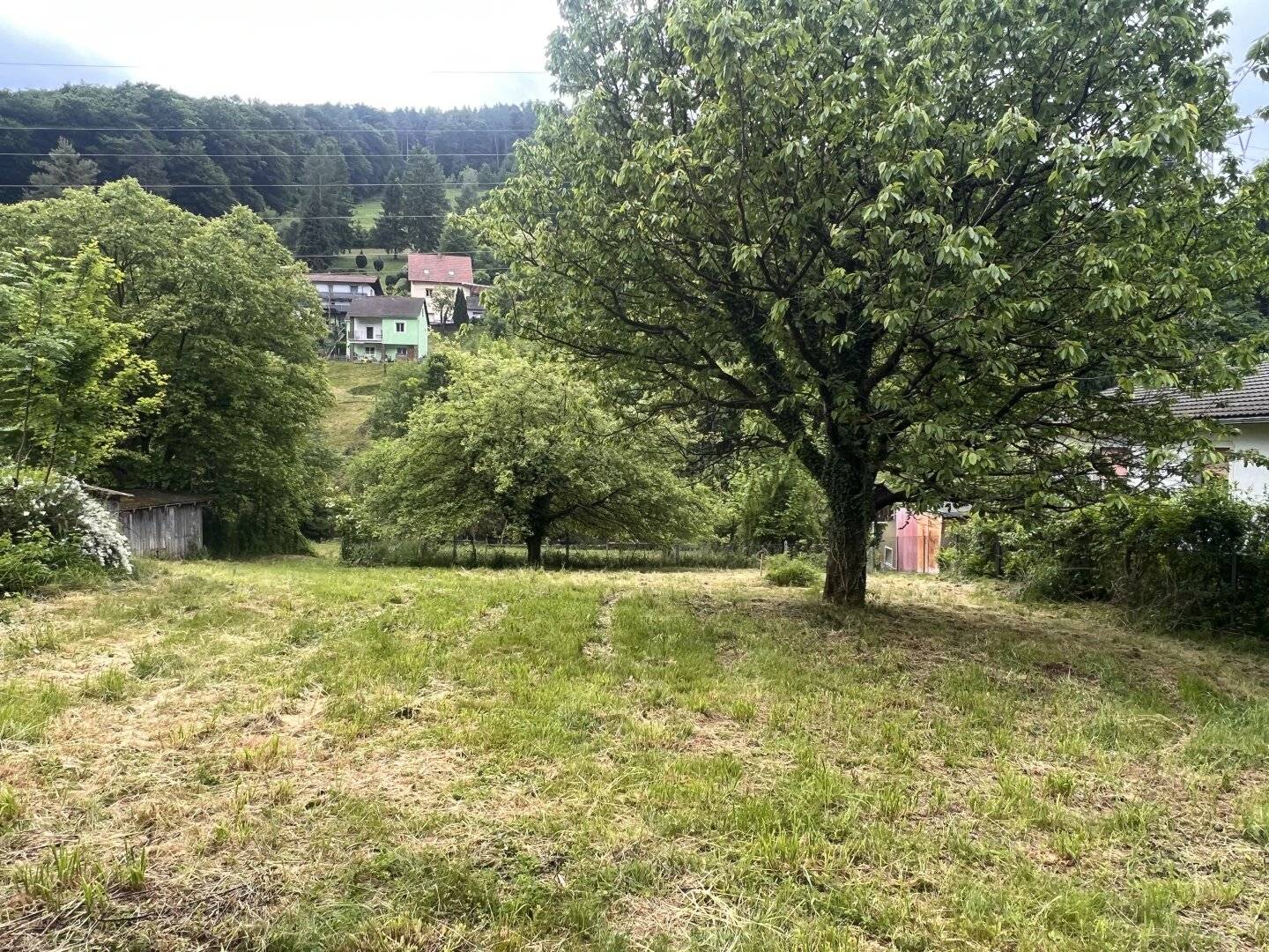 +++ Bewilligtes Neubauprojekt mit 8 Wohneinheiten  +++ Graz- Thalstraße