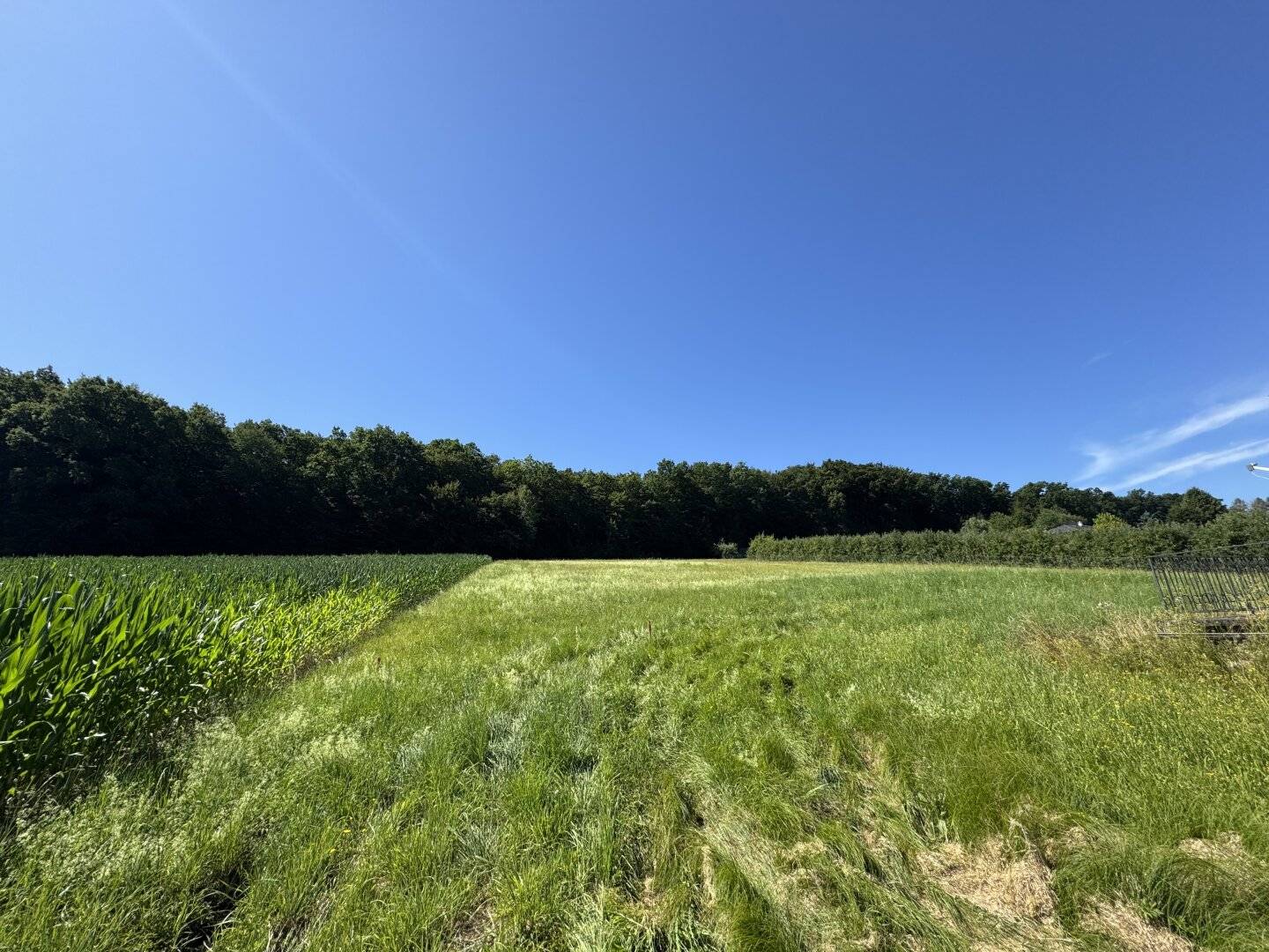 Traumhaftes Baugrundstück in sonniger Lage – flexibel teilbar von ca. 900 m² bis 3.000 m²