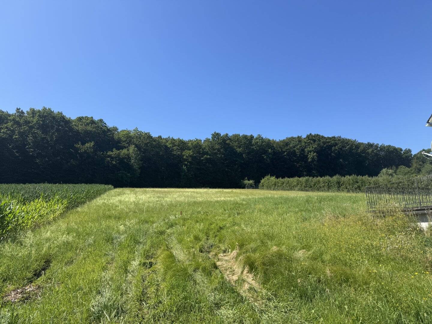 Traumhaftes Baugrundstück in sonniger Lage – flexibel teilbar von ca. 900 m² bis 3.000 m²