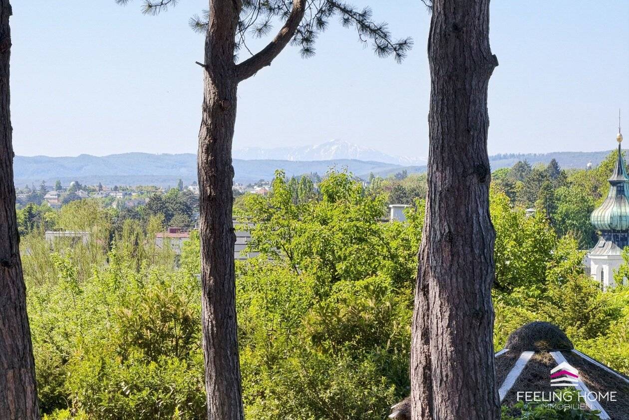 Wohnen mit Geschichte: Villa mit spektakulärer Aussicht bis zum Schneeberg im lebenswerten Grinzing!