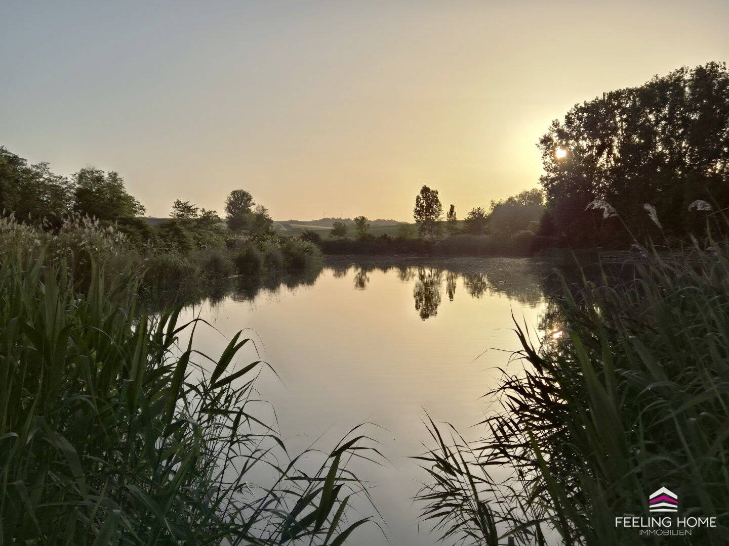 Wohnen im Grünen * Preisattraktives Einfamilienhaus nahe der Nexinger Fischteichen!