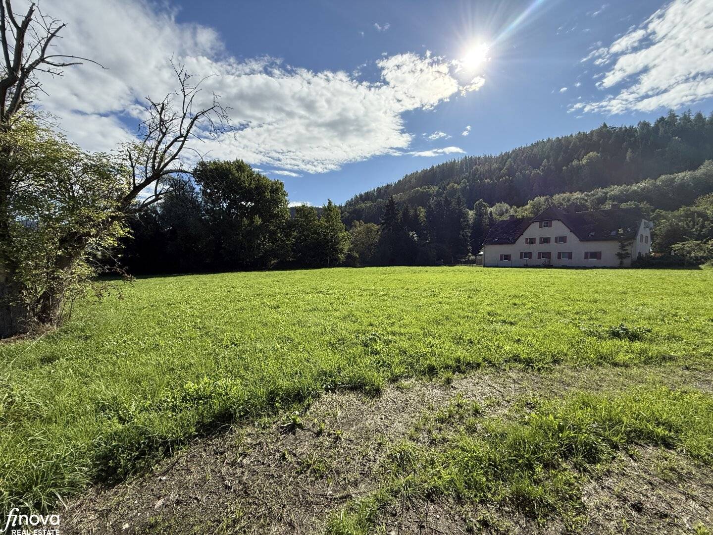 Baugrundstück im Grenzkataster – 1.980 m² in sonniger Lage - Niklasdorf / Waltenbach!!