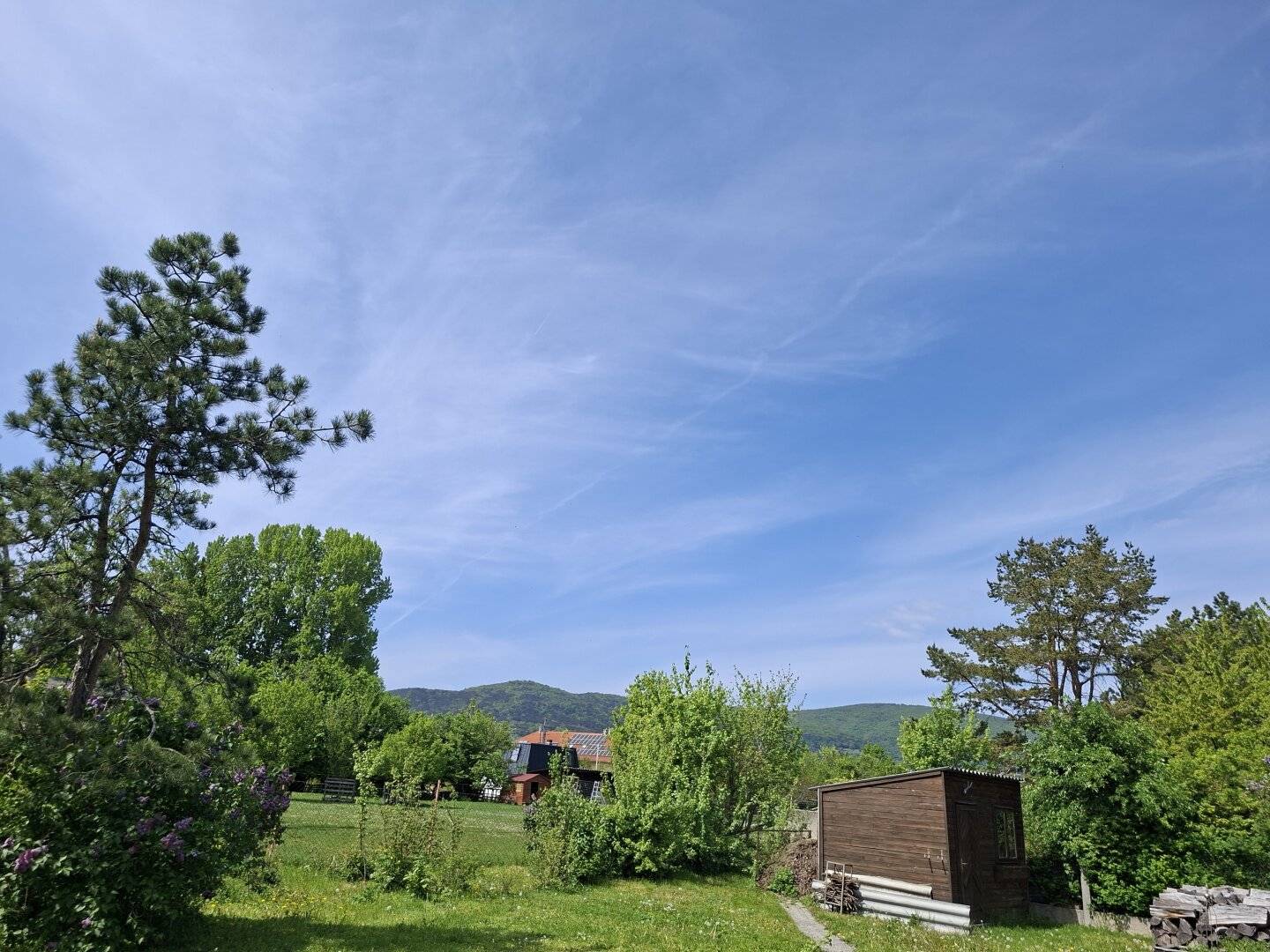 Großzügiges BAUGRUNDSTÜCK + TOLLER GARTEN - TRIBUSWINKEL