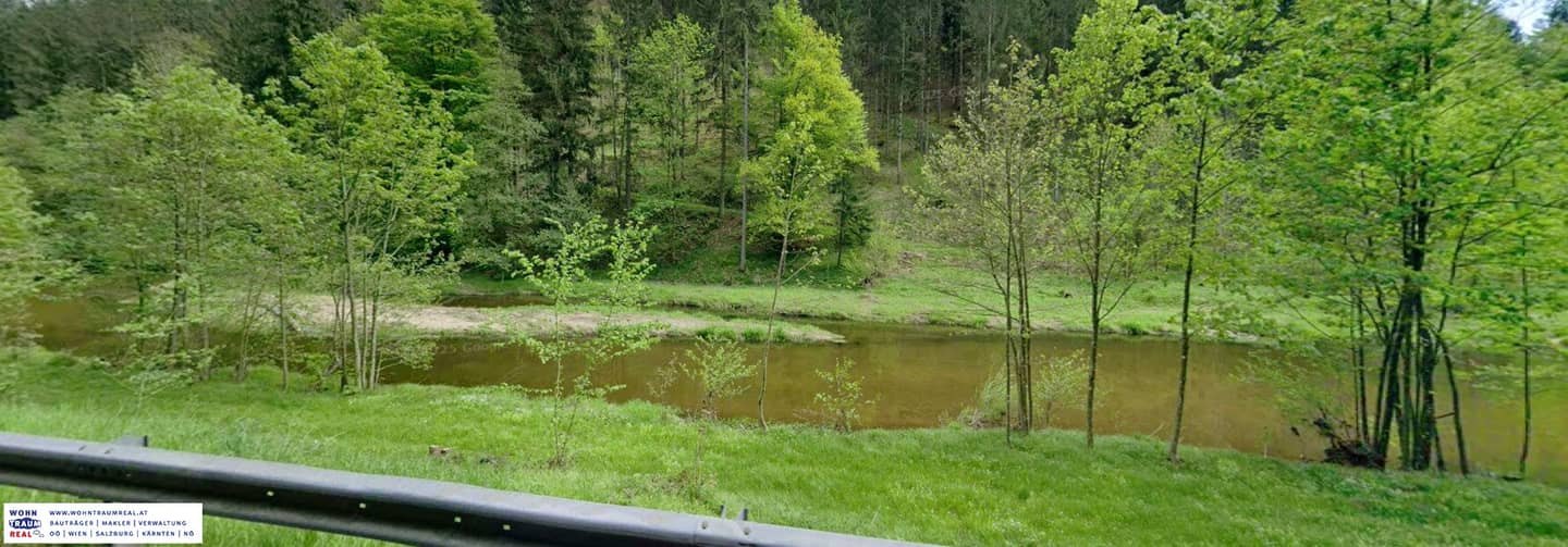 renovierungsobjekt für naturliebhaber - nahe allerheiligen im mühlkreis – angebote erwünscht
