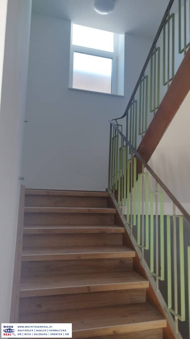 2-Zimmer Wohnung in Ennsdorf mit neuer Küche & Gartenmitbenützung
