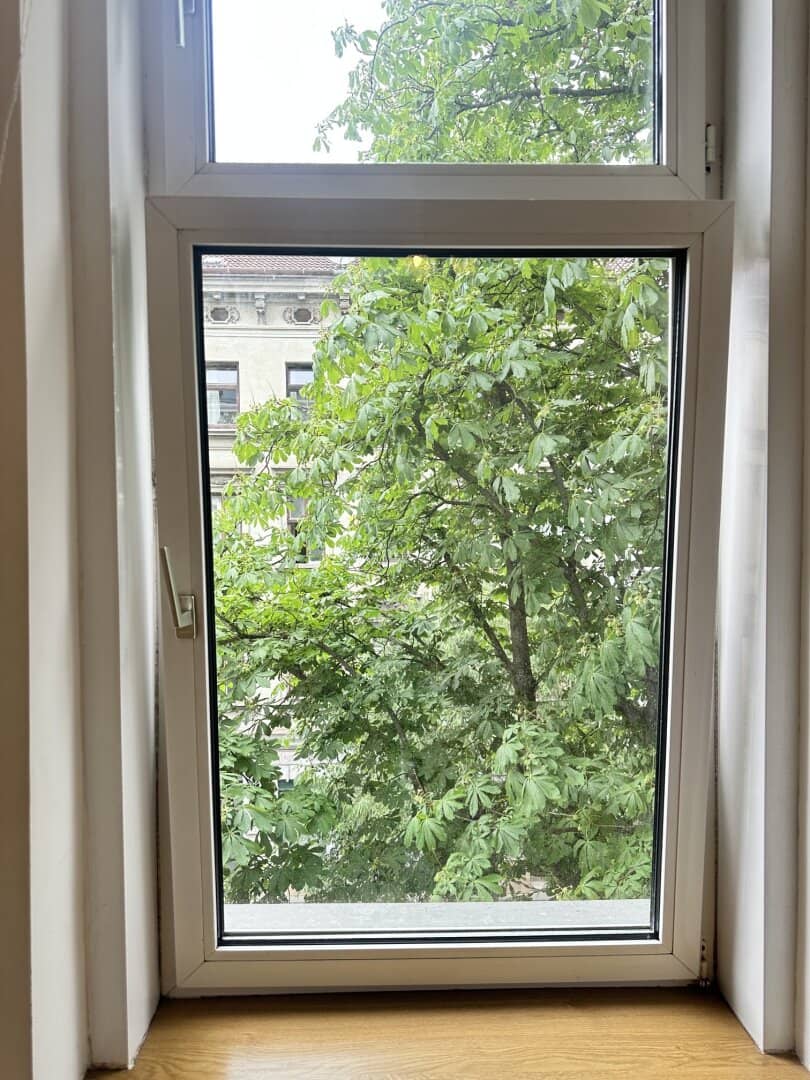TEILSANIERTE PENDLER-/SINGLEWOHNUNG in modernen ALTBAU