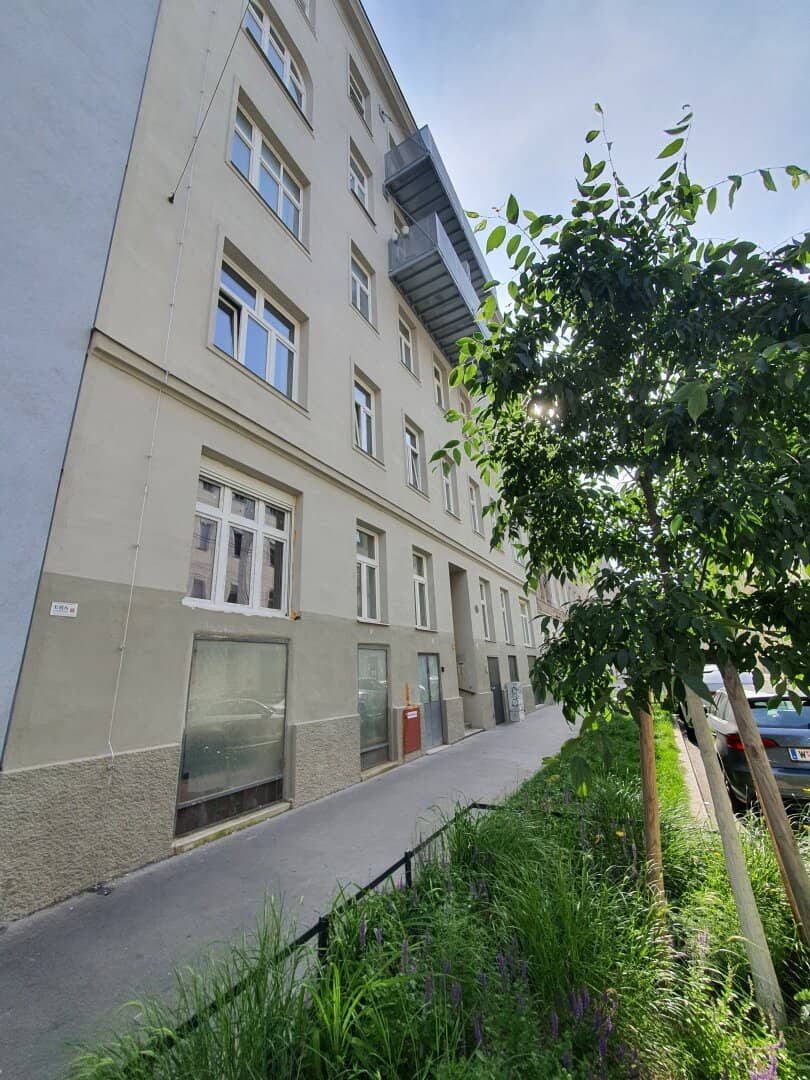 Davidgasse - Unsanierte Wohnung im top sanierten Stilaltbau