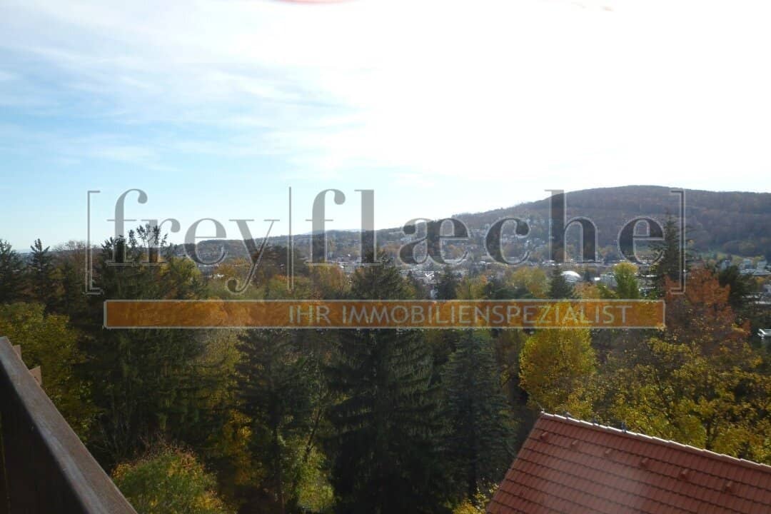 Rosental und Dachterrasse