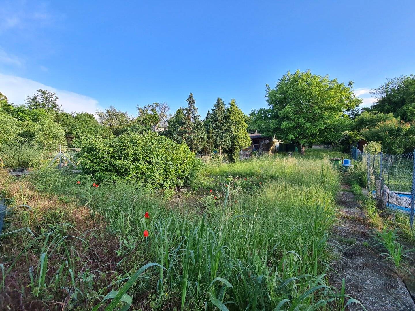 Traum-Eigengrund | Friedhof Großjedlersdorf