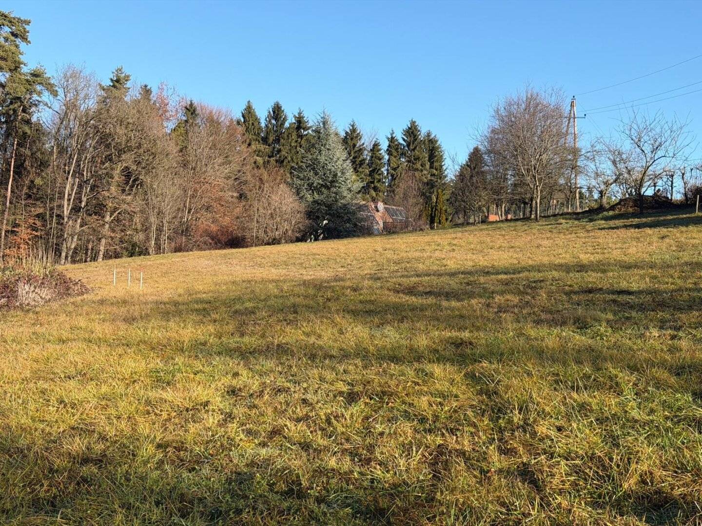 "Seltene Gelegenheit: 1115m² Baugrund in Ruhelage - Schemerlhöhe bei Laßnitzhöhe"