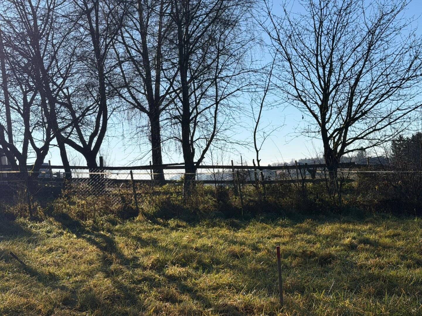 "Seltene Gelegenheit: 1115m² Baugrund in Ruhelage - Schemerlhöhe bei Laßnitzhöhe"