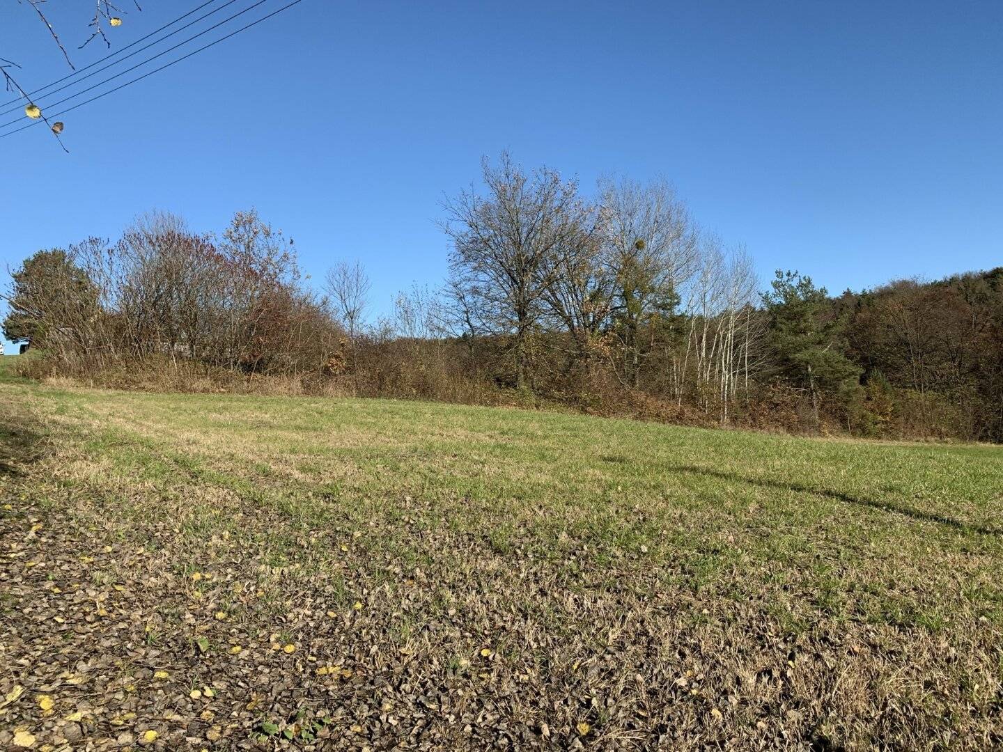 Baugrundstück, Toplage, leichte Süd-Hanglage, Nähe Loipersdorf und Jennersdorf