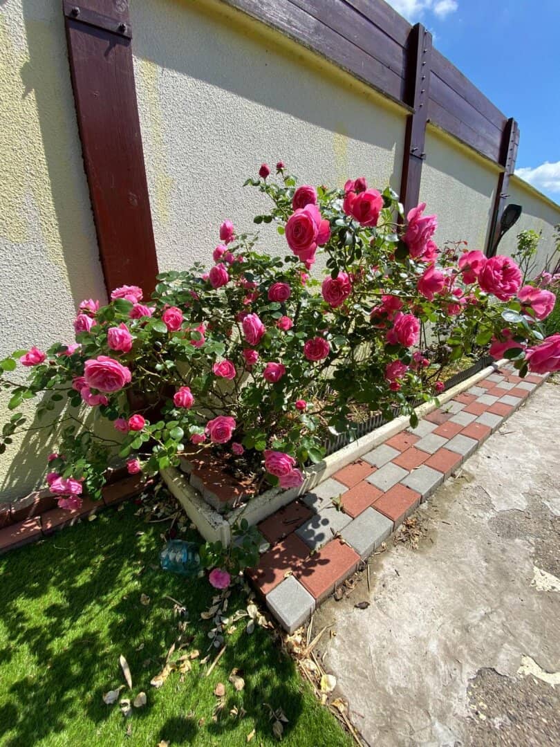 Traumhaftes Grundstück - 3254m² in Hausbrunn zu verkaufen