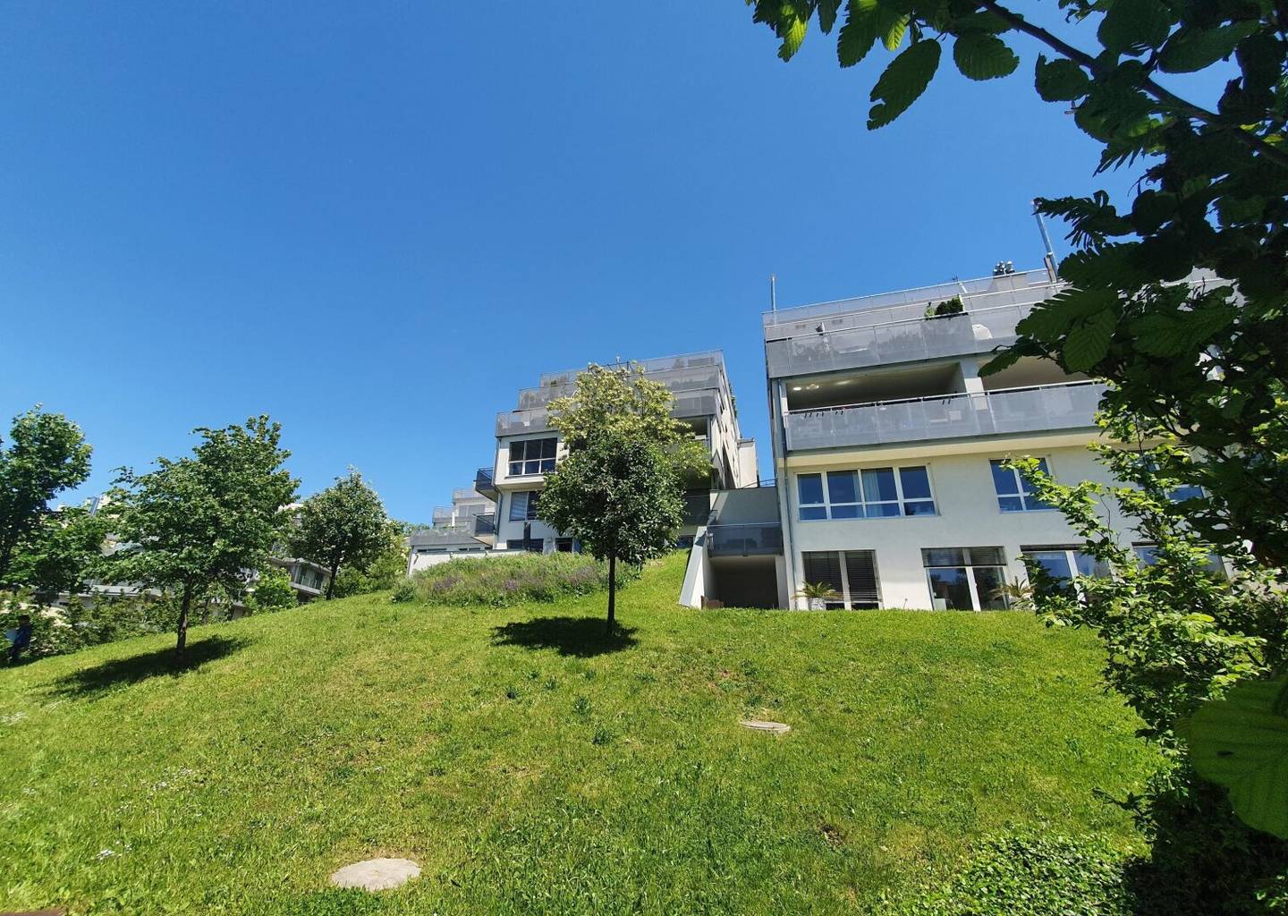 Gemeinschaftsgarten