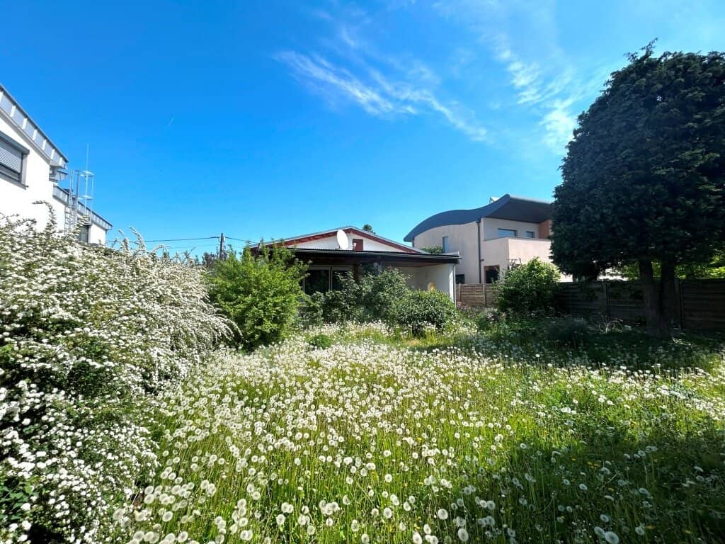 Grundstück mit 507m² in ruhiger Wohnlage mit Wohnhaus